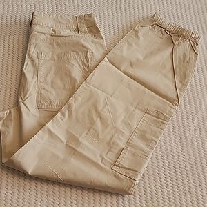 Sweet Envy Tan Cargo Pants